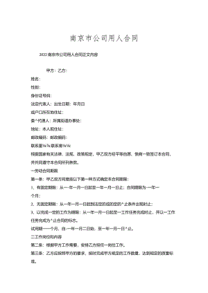 南京市公司用人合同.docx
