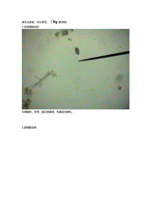 寄生虫学学习资料：寄生虫实验.docx