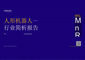 嘉世咨询：2023人形机器人行业简析报告正式版.docx