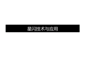 2024星闪技术与应用.docx