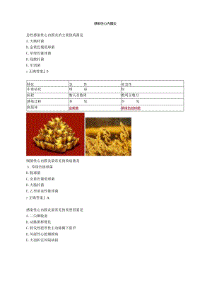 心血管内科主治医师资格笔试专业实践能力考点解析 (9)：感染性心内膜炎.docx