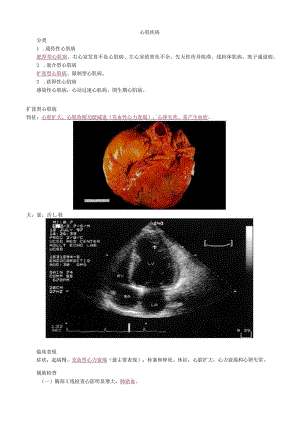 心血管内科主治医师资格笔试专业知识考点解析 (9)：心肌疾病.docx