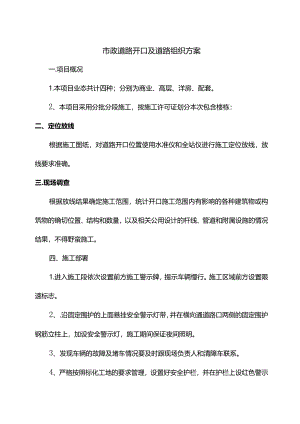 市政道路开口及道路组织方案.docx
