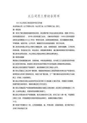 大公司员工劳动合同书.docx