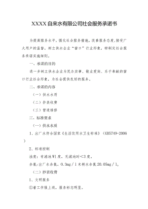 自来水有限公司社会服务承诺书.docx