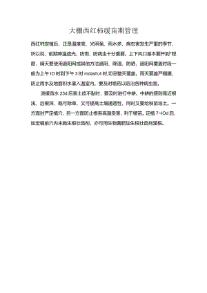 大棚西红柿缓苗期管理.docx