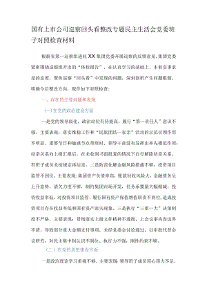 国有上市公司巡察回头看整改专题民主生活会党委班子对照检查材料.docx