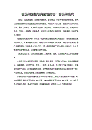 番茄细菌性与真菌性病害：番茄绵疫病.docx