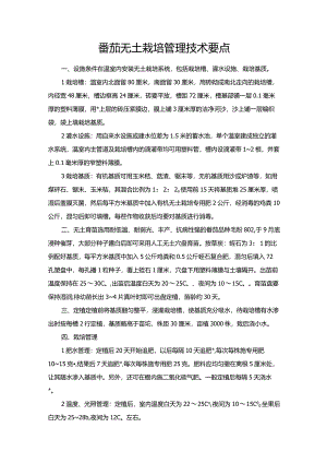 番茄无土栽培管理技术要点.docx