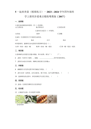 粤教版科学四年级上册5一起来养蚕练习.docx