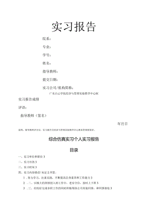 综合仿真实习个人实习报告.docx