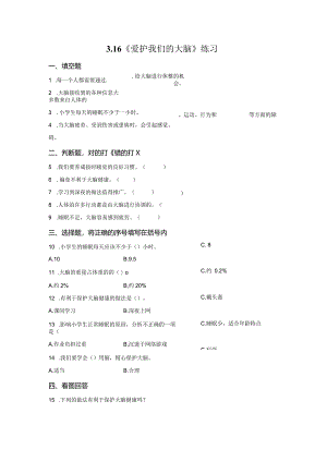 粤教版科学六年级上册3-16爱护我们的大脑练习.docx