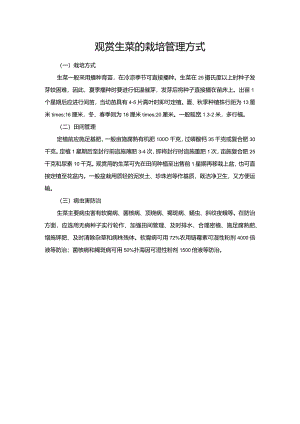 观赏生菜的栽培管理方式.docx