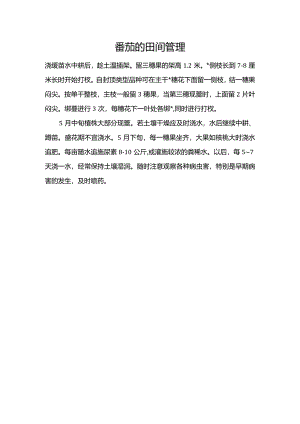 番茄的田间管理.docx