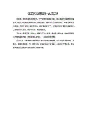 番茄网纹果是什么原因？.docx