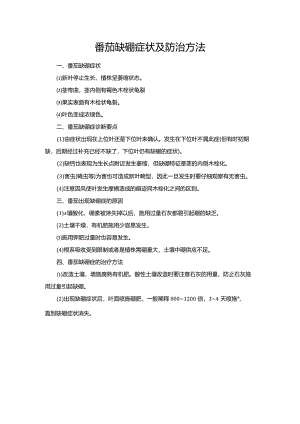 番茄缺硼症状及防治方法.docx