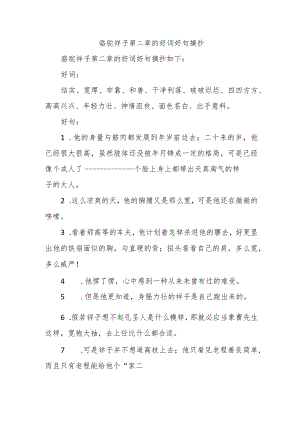 骆驼祥子第二章的好词好句摘抄.docx