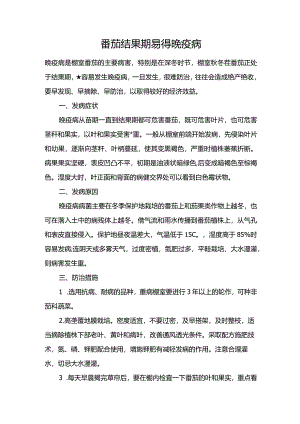 番茄结果期易得晚疫病.docx