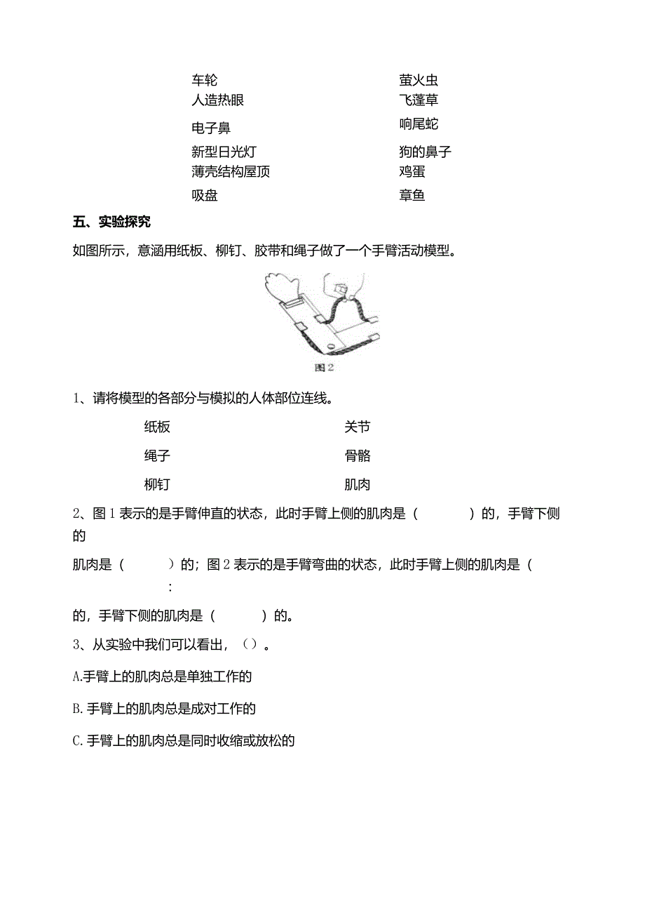 苏教版科学五下8我们来仿生试题(含答案解析).docx_第2页