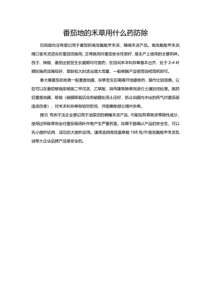 番茄地的禾草用什么药防除.docx