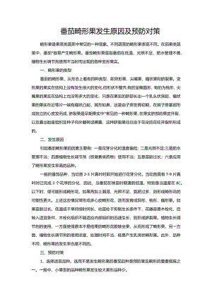 番茄畸形果发生原因及预防对策.docx