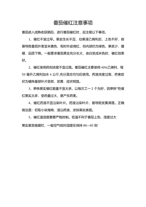 番茄催红注意事项.docx