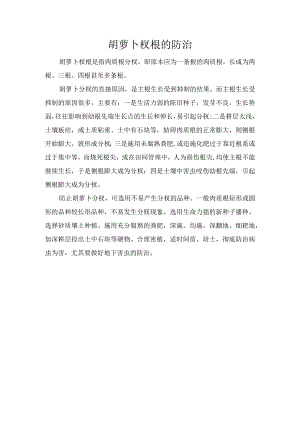 胡萝卜杈根的防治.docx