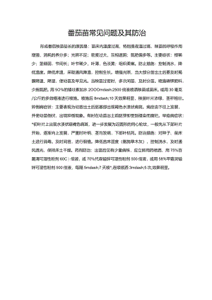 番茄苗常见问题及其防治.docx