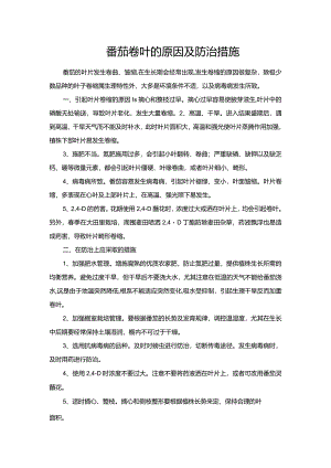 番茄卷叶的原因及防治措施.docx