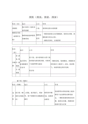 颈部和躯干肌肉解剖.docx