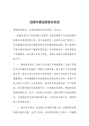 表态发言：迎接市委巡察（乡镇）.docx