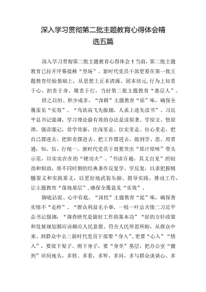 深入学习贯彻第二批主题教育心得体会精选五篇.docx