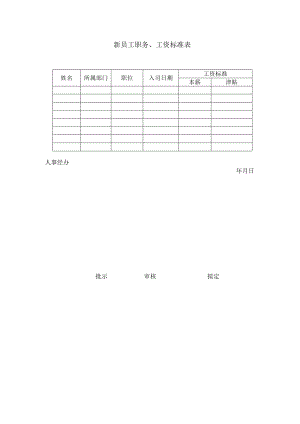 新员工职务、工资标准.docx