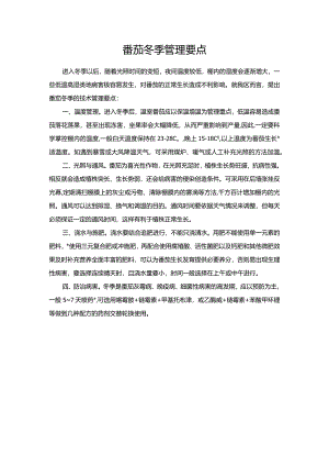 番茄冬季管理要点.docx