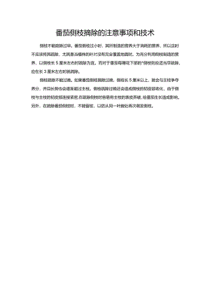 番茄侧枝摘除的注意事项和技术.docx