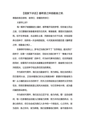 播希望之种+扬勤奋之帆+发言稿国旗下讲话.docx