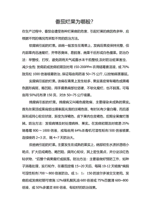 番茄烂果为哪般？.docx