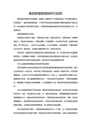 番茄脐腐病是缺钙引起的.docx