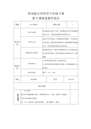 第1课视觉（教学设计）六年级科学下册（青岛版）.docx
