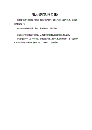 番茄老枝如何再生？.docx