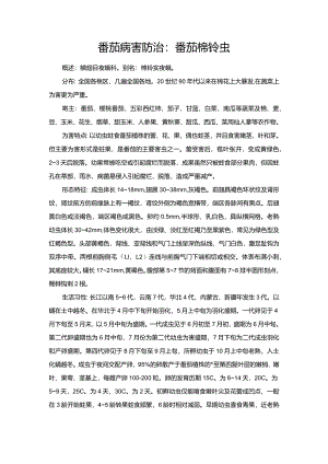 番茄病害防治：番茄棉铃虫.docx