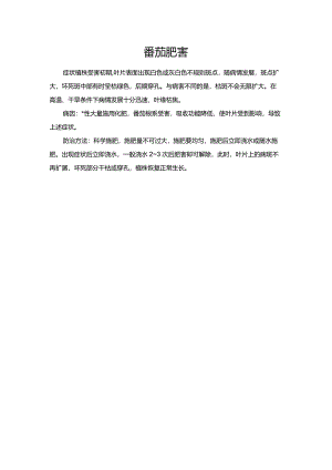 番茄肥害.docx