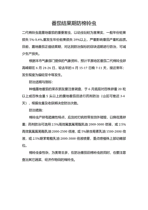 番茄结果期防棉铃虫.docx