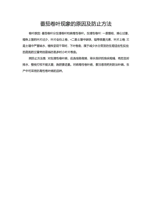 番茄卷叶现象的原因及防止方法.docx