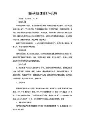 番茄细菌性髓部坏死病.docx