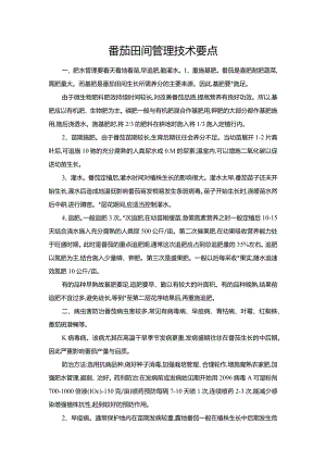 番茄田间管理技术要点.docx