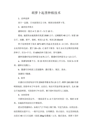 胡萝卜起垄种植技术.docx