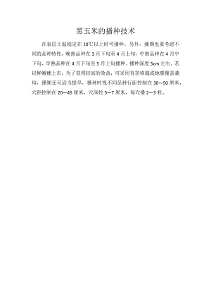 黑玉米的播种技术.docx