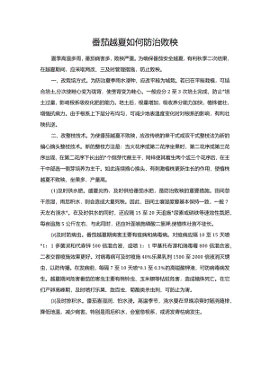 番茄越夏如何防治败秧.docx