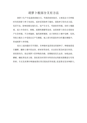 胡萝卜根部分叉有方法.docx